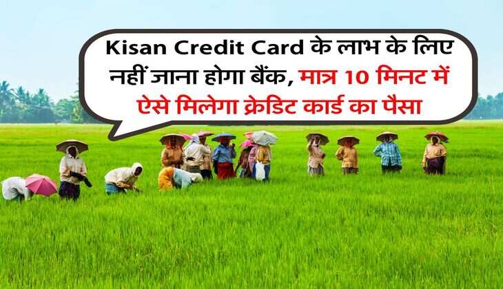 Kisan Credit Card के लाभ के लिए नहीं जाना होगा बैंक, मात्र 10 मिनट में ऐसे मिलेगा क्रेडिट कार्ड का पैसा