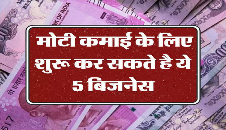 Business Idea: मोटी कमाई के लिए शुरू कर सकते है ये 5 बिजनेस, इन चीजों की रहती है फुल डिमांड 
