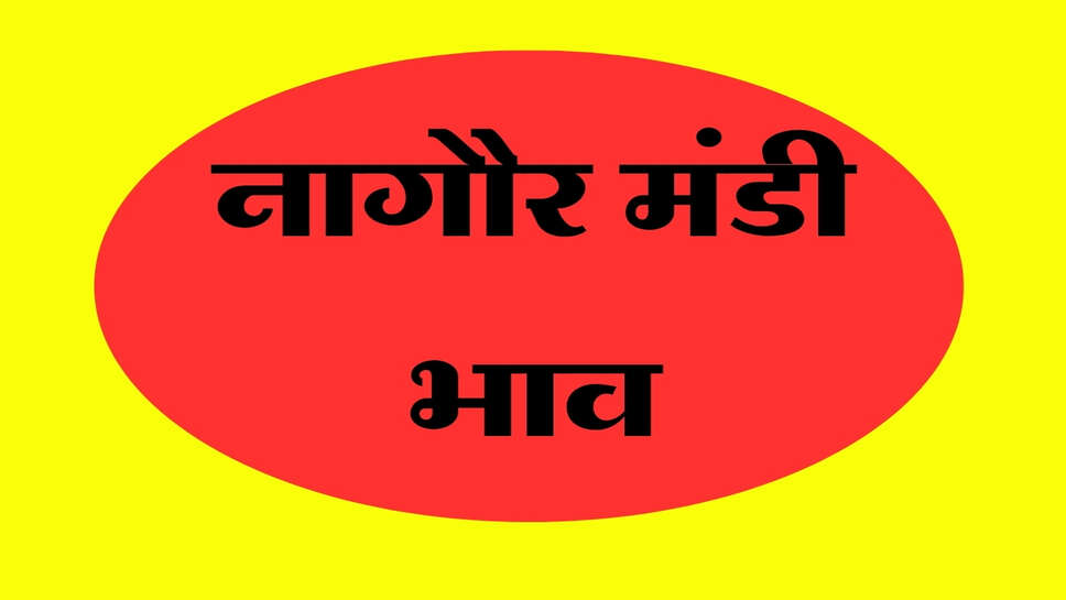 नागौर मंडी भाव 24 अक्टूबर 2026: मूंग और जीरा में तेजी, ग्वार-सौंफ के भाव में नरमी