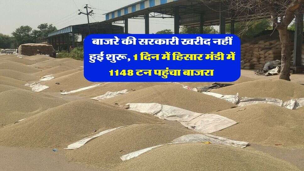 बाजरे की सरकारी खरीद नहीं हुई शुरू, 1 दिन में हिसार मंडी में 1148 टन पहुंचा बाजरा&nbsp;