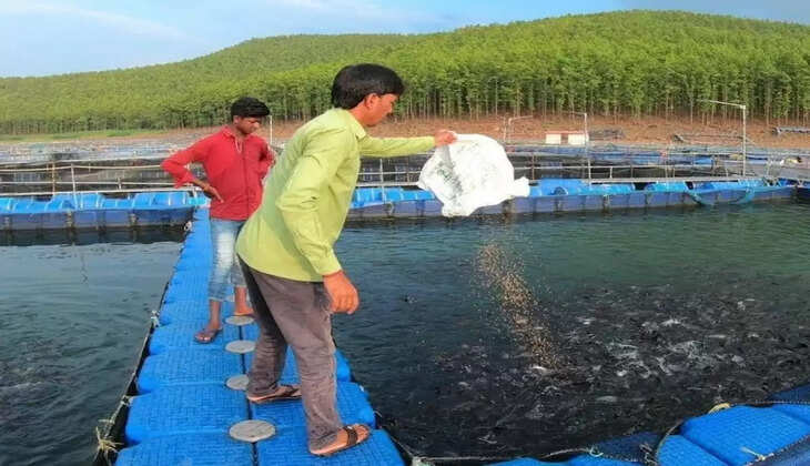 Business Idea: छोटी राशि से शुरू करें ये बिजनेस, हर माह 2 लाख कमाएं