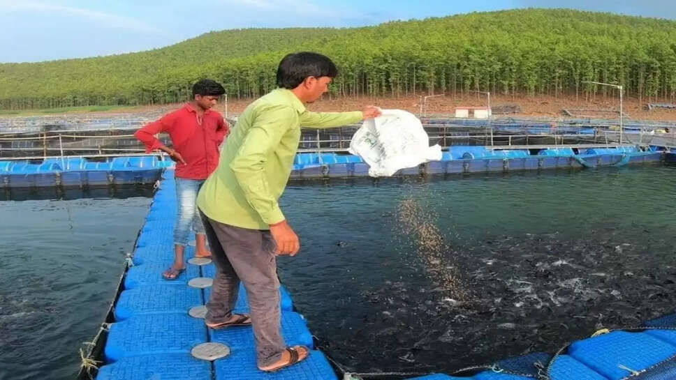 Business Idea: छोटी राशि से शुरू करें ये बिजनेस, हर माह 2 लाख कमाएं