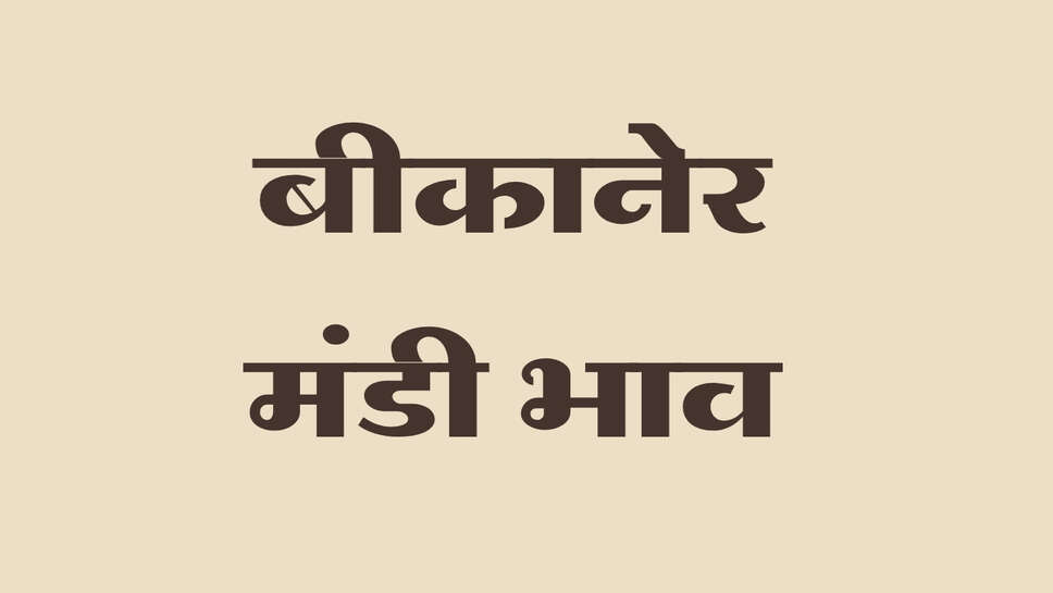 बीकानेर मंडी भाव 19 सितंबर 2026 मूंग-ग्वार और मूंगफली के भाव तेज, ईसबगोल व जीरा में मंदी