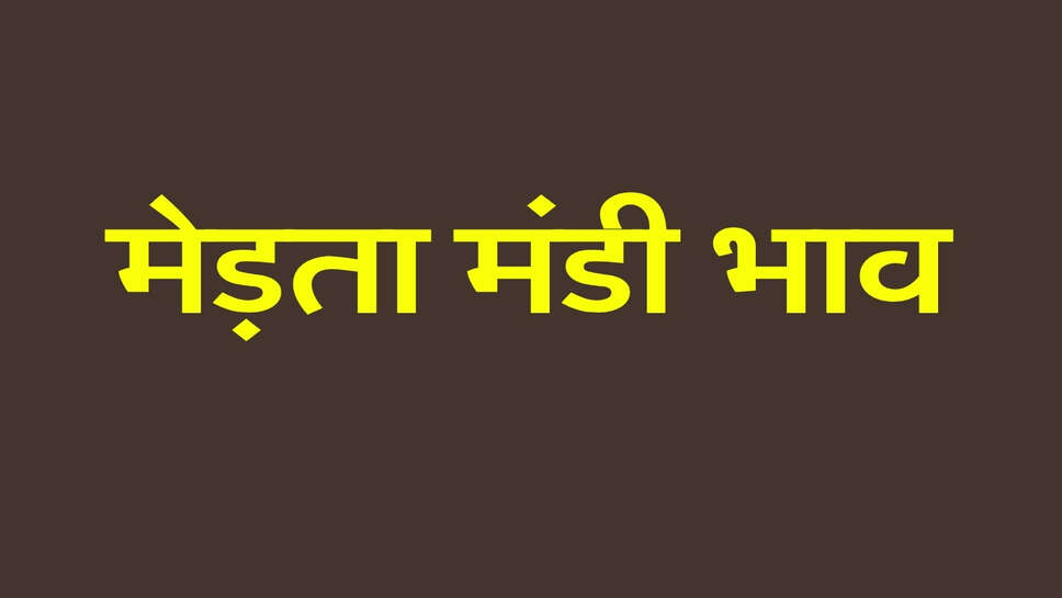 मेड़ता मंडी भाव 30 सितंबर 2026: मूंग और ग्वार में तेजी, ईसबगोल व तारामीरा में मंदी