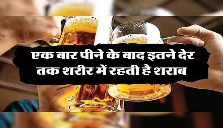 Wine Beer : एक बार पीने के बाद इतने देर तक शरीर में रहती है शराब