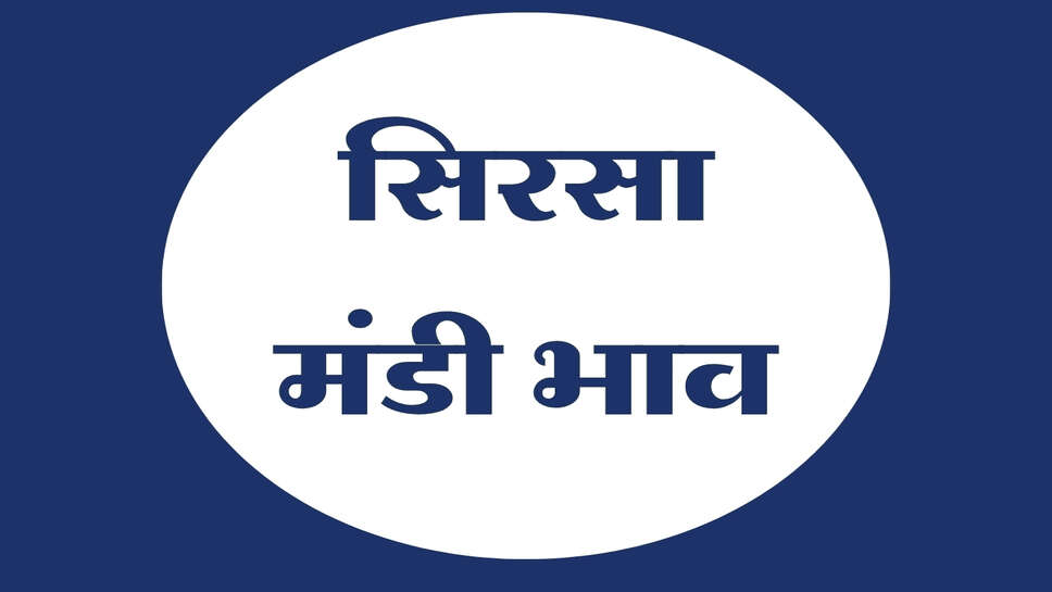 सिरसा मंडी भाव 22 अक्टूबर 2026: सरसों और नरमा मंदे, गेहूं-धान 1509 और PB-1 में तेजी