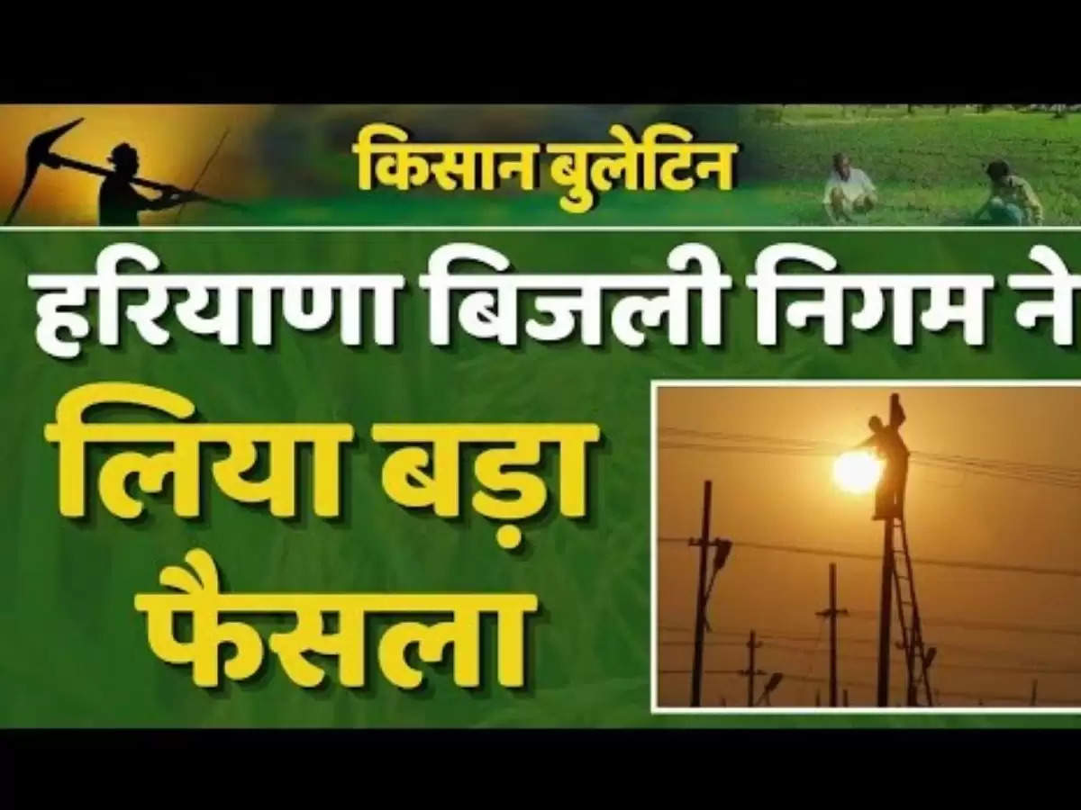 Haryana Agriculture News किसानों को बिजली निगम की सलाह, जरूरत पड़ने पर इस नंबर पर करें फोन