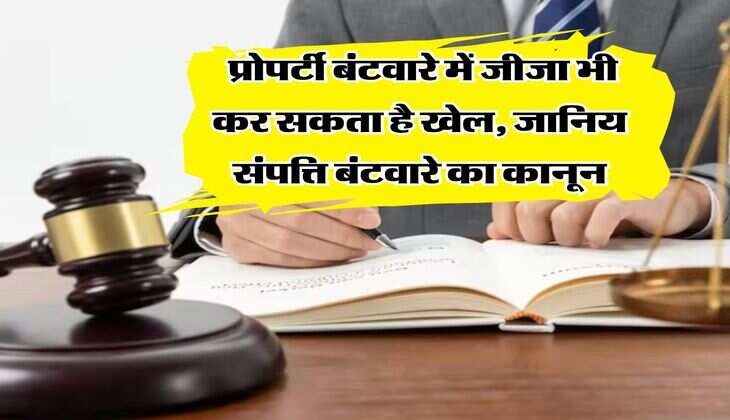 property rights : प्रोपर्टी बंटवारे में जीजा भी कर सकता है खेल, जानिय संपत्ति बंटवारे का कानून