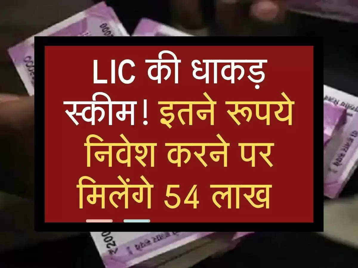 LIC की धाकड़ स्कीम! इतने रूपये निवेश करने पर मिलेंगे 54 लाख 