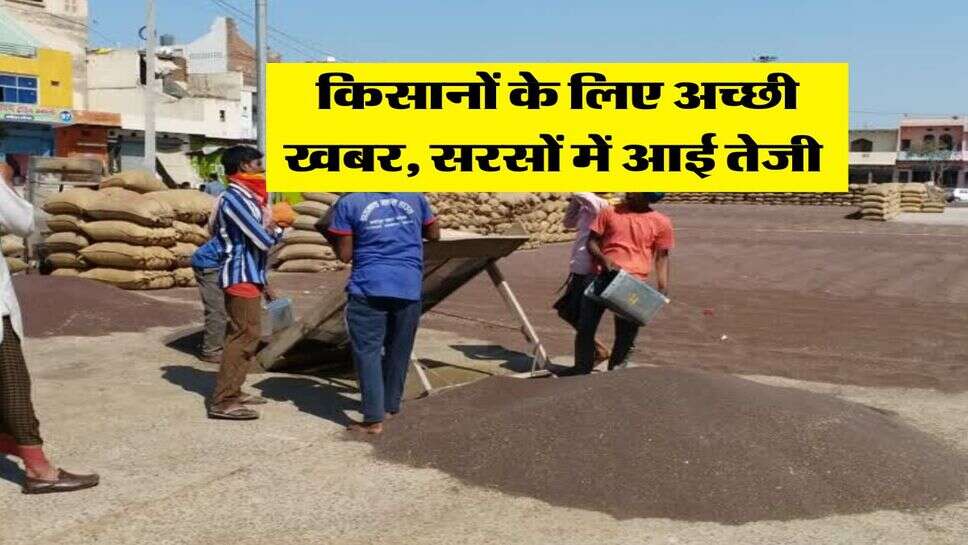 Sarso Mandi Bhav : किसानों के लिए अच्छी खबर, सरसों में आई तेजी