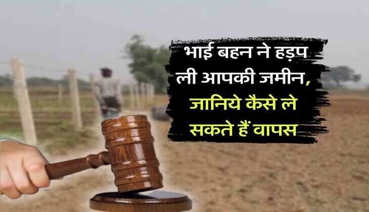 Property Knowledge : भाई बहन ने हड़प ली आपकी जमीन, जानिये कैसे ले सकते हैं वापस
