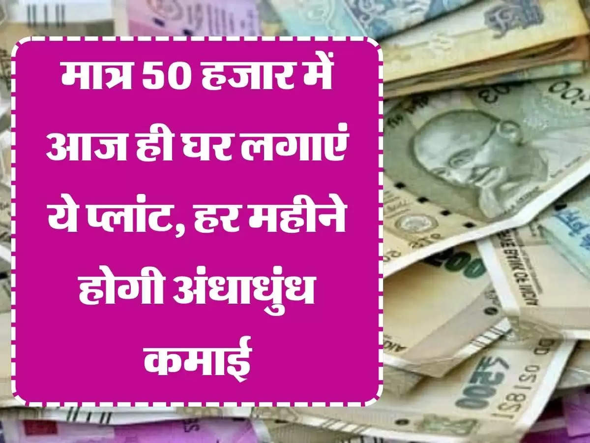 Business Idea: मात्र 50 हजार में आज ही घर लगाएं ये प्लांट, हर महीने होगी अंधाधुंध कमाई