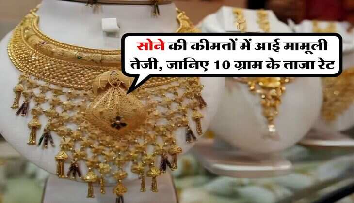 Gold Price : सोने की कीमतों में आई मामूली तेजी, जानिए 10 ग्राम के ताजा रेट