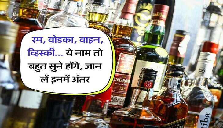 alcohol liquor : रम, वोडका, वाइन, व्हिस्की... ये नाम तो बहुत सुने होंगे, जान लें इनमें अंतर