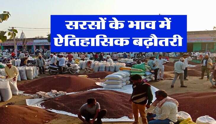 sarso rate 17 july : सरसों के भाव में ऐतिहासिक बढ़ौतरी