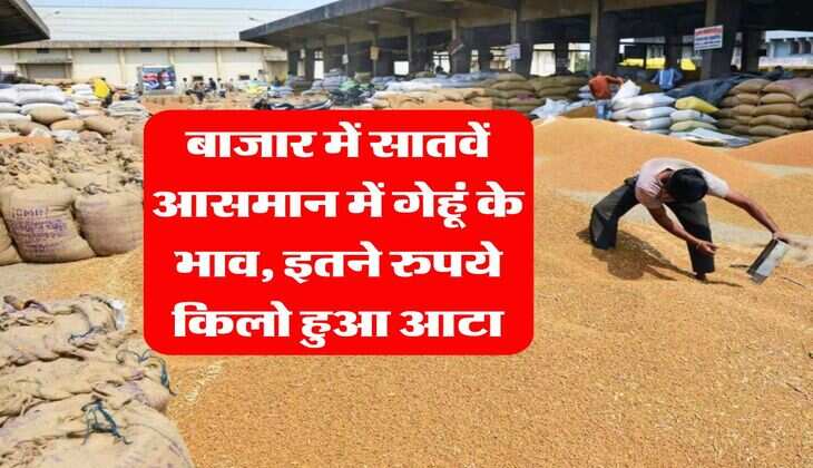 wheat flour price : बाजार में सातवें आसमान में गेहूं के भाव, इतने रुपये किलो हुआ आटा