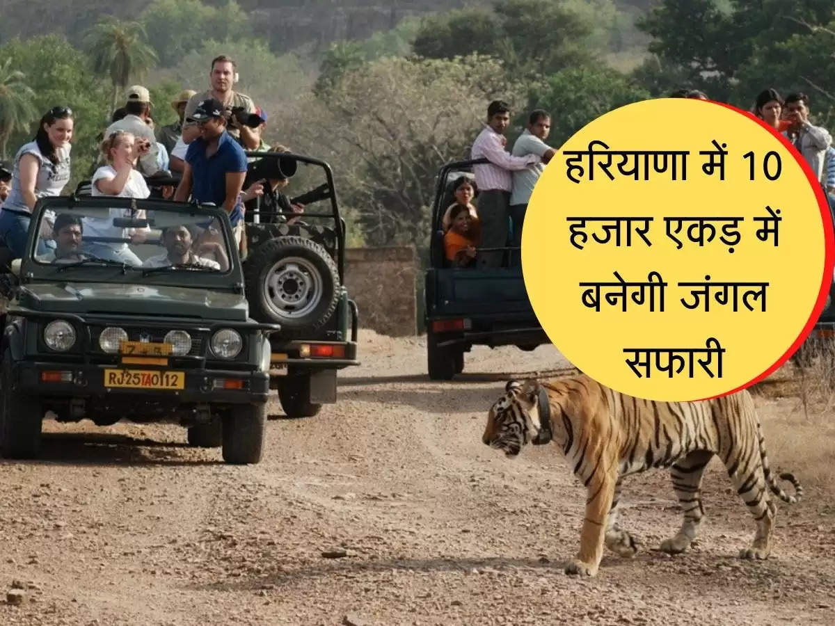 Trekking and jungle safari will be made in the Aravalli mountain range in Gurugram district. For this the officials have been asked to prepare the project.