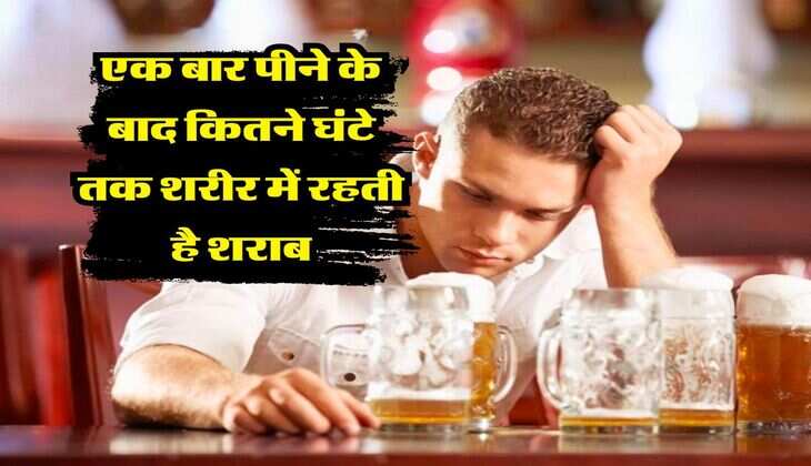wine beer : एक बार पीने के बाद कितने घंटे तक शरीर में रहती है शराब, पीने वाले जरूर जान लें ये बात