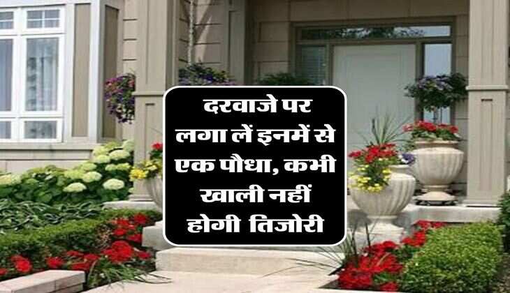 Vastu Tips : घर के दरवाजे पर लगा लें इनमें से एक पौधा, कभी खाली नहीं होगी आपकी तिजोरी