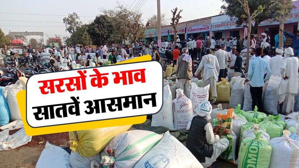 sarso ka bhav : सरसों के भाव सातवें आसमान, जानिये देशभर की मंडियों में सरसों के आज के भाव