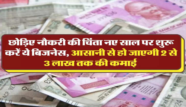 Business Idea: छोड़िए नौकरी की चिंता नए साल पर शुरू करें ये बिजनेस, आसानी से हो जाएगी 2 से 3 लाख तक की कमाई 