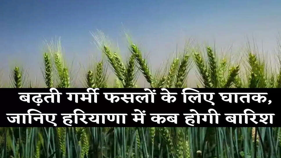 &nbsp;Haryana Mosam Update बढ़ती गर्मी फसलों के लिए घातक, जानिए हरियाणा में कब होगी बारिश