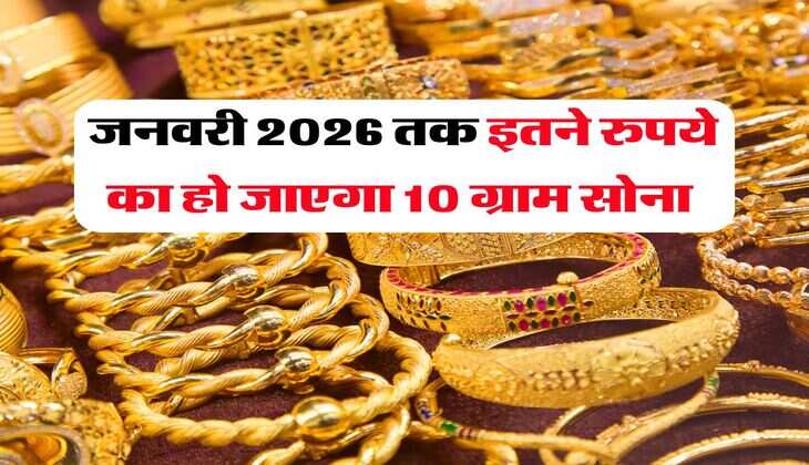 Gold Price Prediction : जनवरी 2026 तक इतने रुपये का हो जाएगा 10 ग्राम सोना