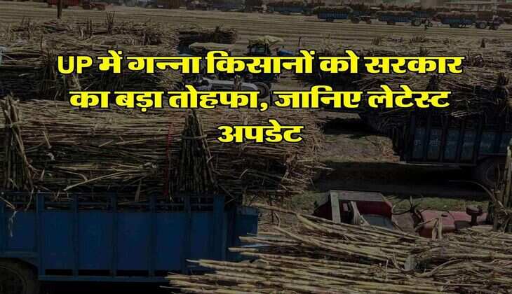 UP में गन्ना किसानों को सरकार का बड़ा तोहफा, जानिए&nbsp;लेटेस्ट अपडेट