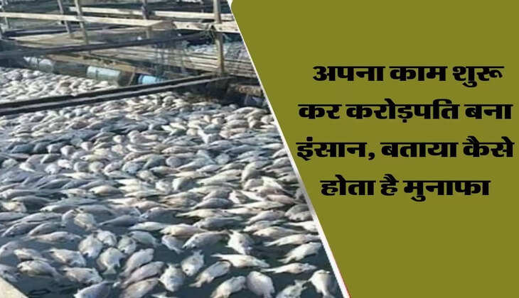 अपना काम शुरू कर करोड़पति बना इंसान, बताया कैसे होता है मुनाफा