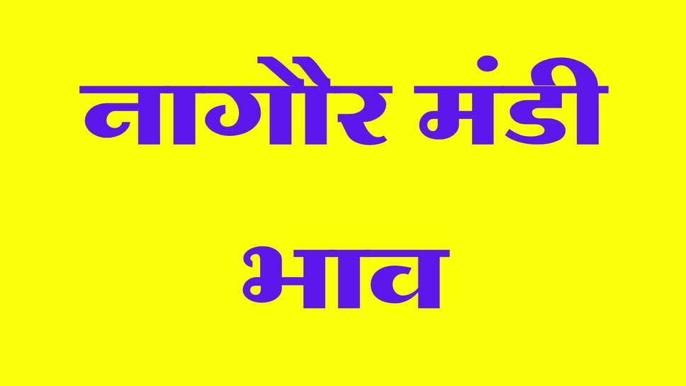 नागौर मंडी भाव 12 अक्टूबर 2026: ग्वार, जीरा और ईसबगोल में तेजी, मूंग के भाव भी बढ़े, देखें ताजा रेट