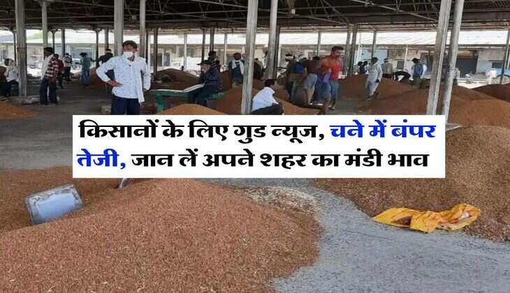 Chana Bhav : किसानों के लिए गुड न्यूज, चने में बंपर तेजी, जान लें अपने शहर का मंडी भाव&nbsp;