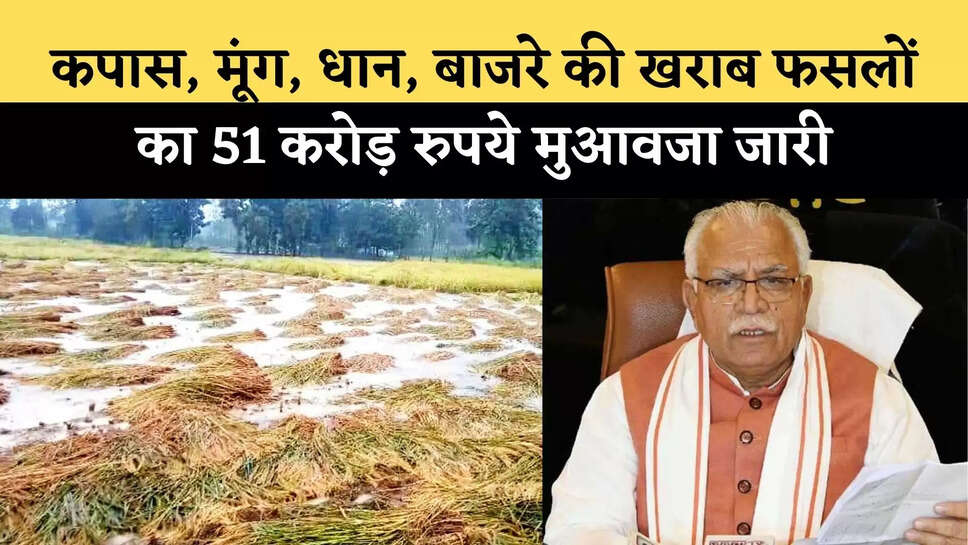 Rs 51 crore compensation released for bad crops of cotton, moong, paddy, millet