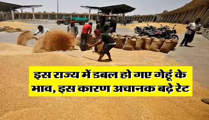 Wheat Price Hike : इस राज्य में डबल हो गए गेहूं के भाव, इस कारण अचानक बढ़े रेट