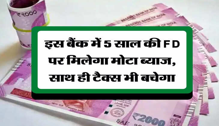 Tax Saving Scheme : इस बैंक में 5 साल की FD पर मिलेगा मोटा ब्याज, साथ ही टैक्&zwj;स भी बचेगा