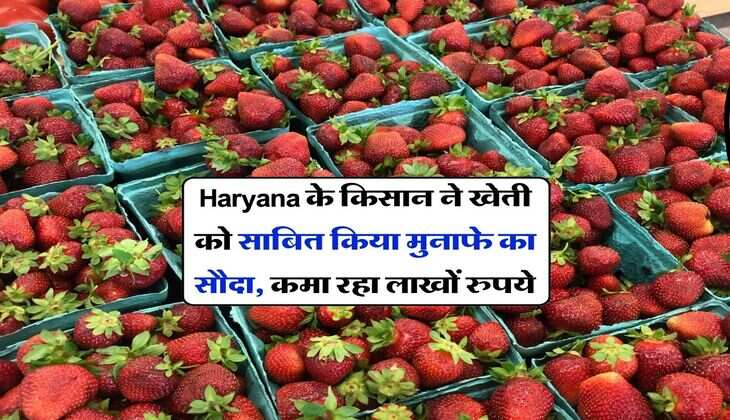 Haryana के किसान ने खेती को साबित किया मुनाफे का सौदा, कमा रहा लाखों रुपये