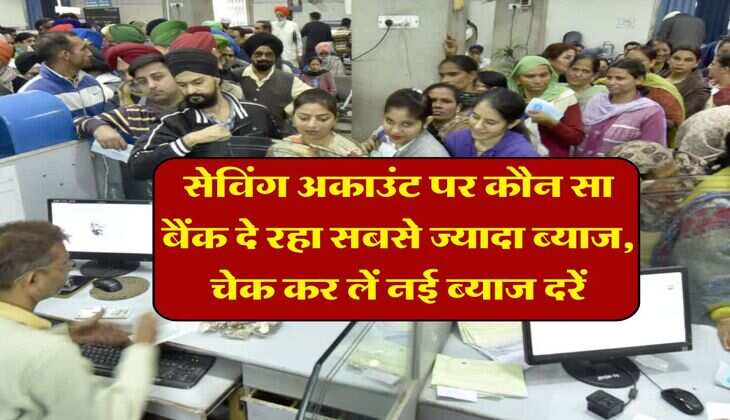 saving accounts Interest Rate : सेविंग अकाउंट पर कौन सा बैंक दे रहा सबसे ज्यादा ब्याज, चेक कर लें नई ब्याज दरें