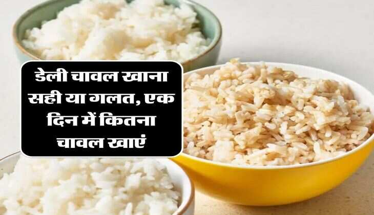 Rice Benefits & Side Effects: डेली चावल खाना सही या गलत, एक दिन में कितना चावल खाएं, जानिये सबकुछ