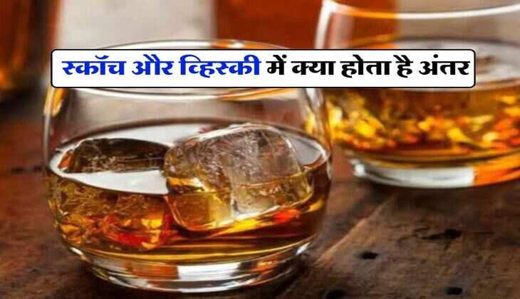 Scotch vs Whiskey Difference : स्कॉच और व्हिस्की में क्या होता है अंतर, पीने वालों को भी नहीं होगी जानकारी