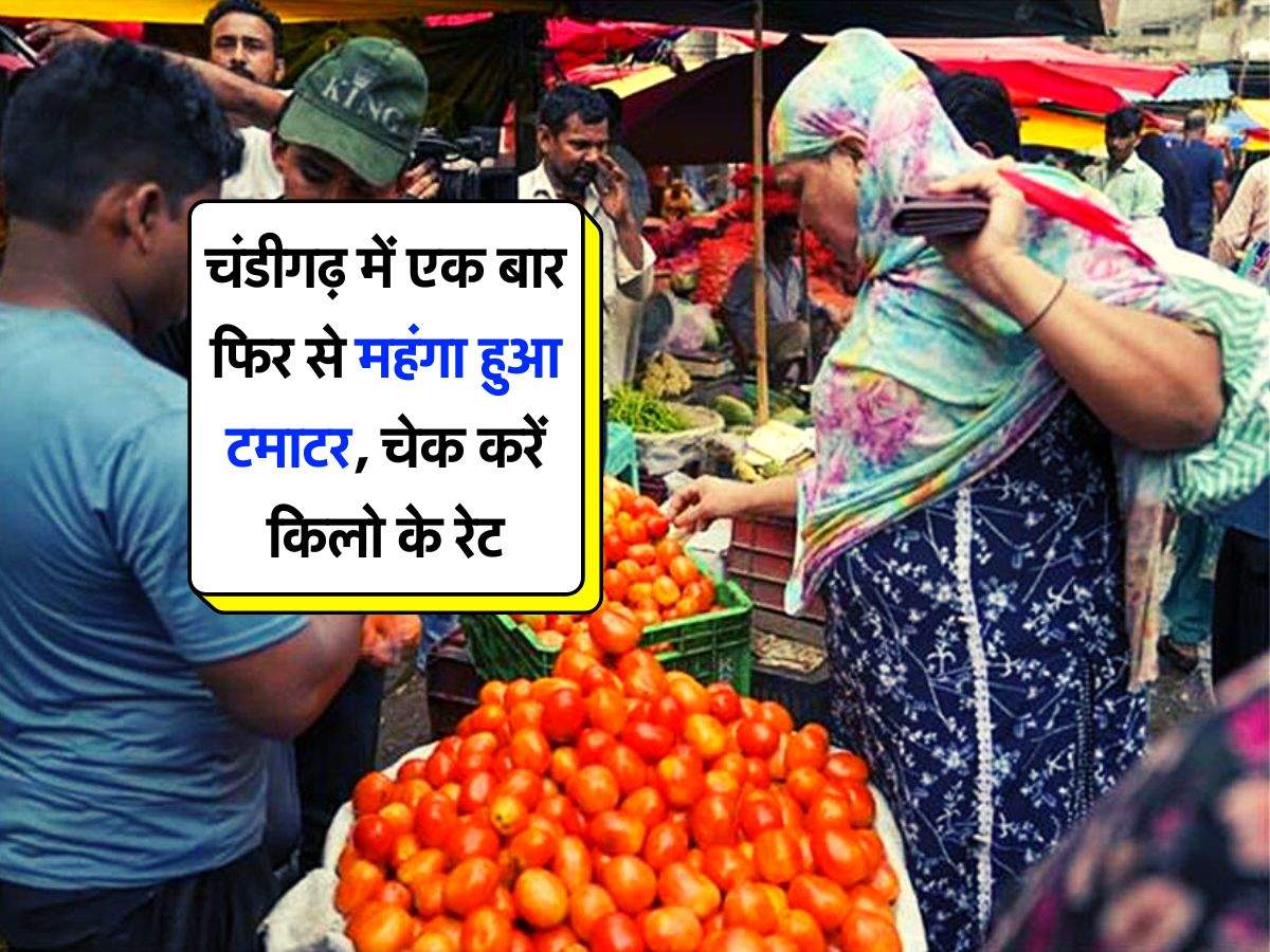 Tomato price : चंडीगढ़ में एक बार फिर से महंगा हुआ टमाटर, चेक करें किलो के रेट