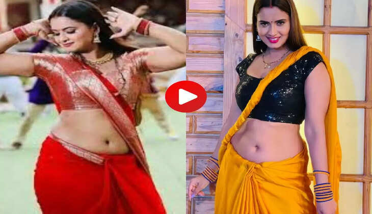 Neelam Video: नीलम गिरी ने साड़ी में हिलाया स्लिम फिगर, देखें वीडियो&nbsp;