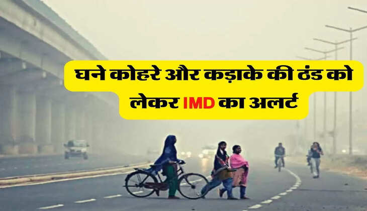 Weather Update - घने कोहरे और कड़ाके की ठंड को लेकर IMD का अलर्ट