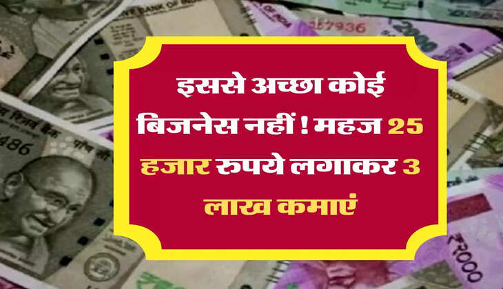 इससे अच्छा कोई बिजनेस नहीं! महज 25 हजार रुपये लगाकर 3 लाख कमाएं