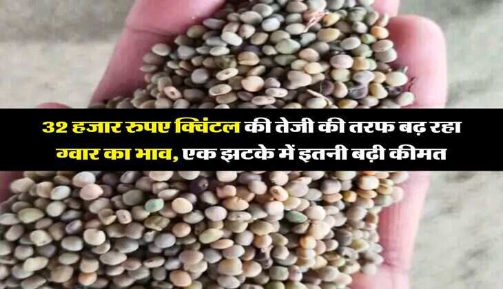 guar bhav : 32 हजार रुपए क्विंटल की तेजी की तरफ बढ़ रहा ग्वार का भाव, एक झटके में इतनी बढ़ी कीमत