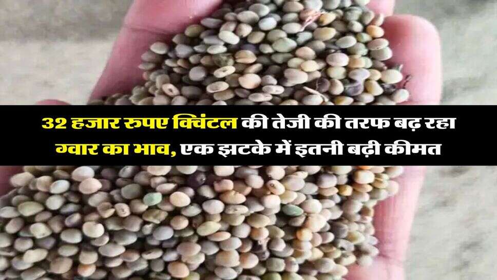 guar bhav : 32 हजार रुपए क्विंटल की तेजी की तरफ बढ़ रहा ग्वार का भाव, एक झटके में इतनी बढ़ी कीमत