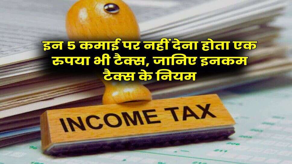Income Tax : इन 5 कमाई पर नहीं देना होता एक रुपया भी टैक्स, जानिए इनकम टैक्स के नियम