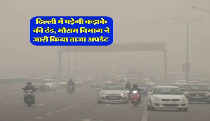 Weather Update : दिल्ली में पड़ेगी कड़ाके की ठंड, मौसम विभाग ने जारी किया ताजा अपडेट&nbsp;
