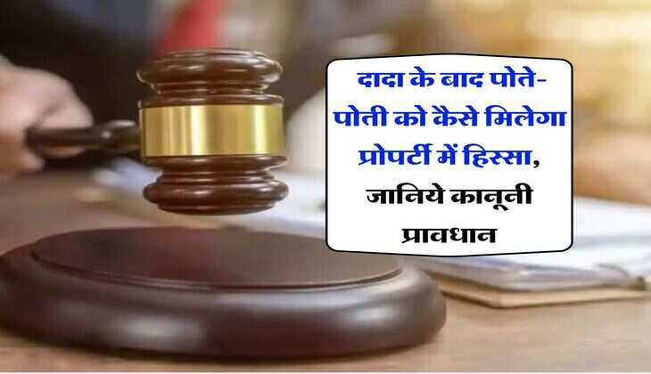 Grandfather Property Rights : दादा के बाद पोते-पोती को कैसे मिलेगा प्रोपर्टी में हिस्सा, जानिये कानूनी प्रावधान