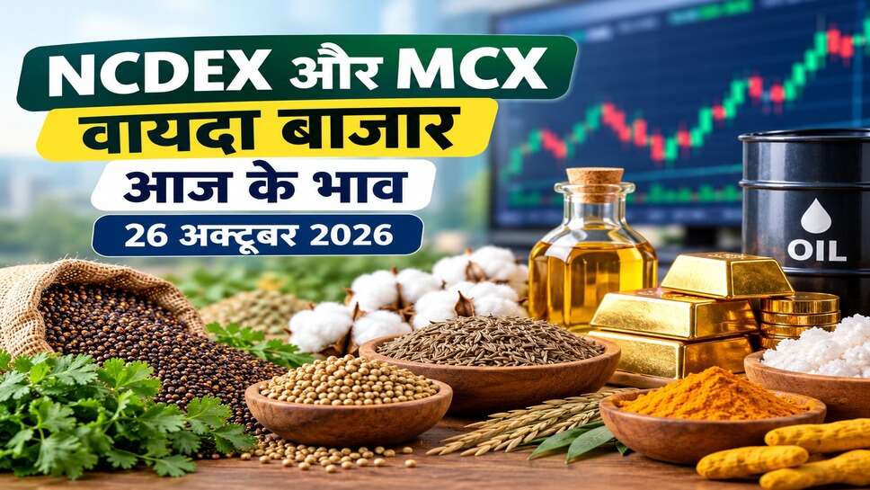 NCDEX और MCX वायदा बाजार में गिरावट, ग्वार गम और जीरे के भाव टूटे, हल्दी में तेजी