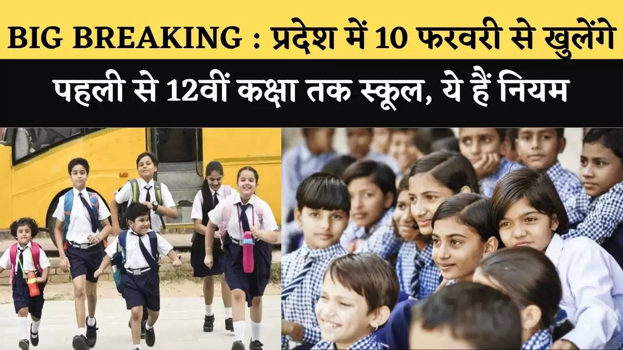 school  open in haryana