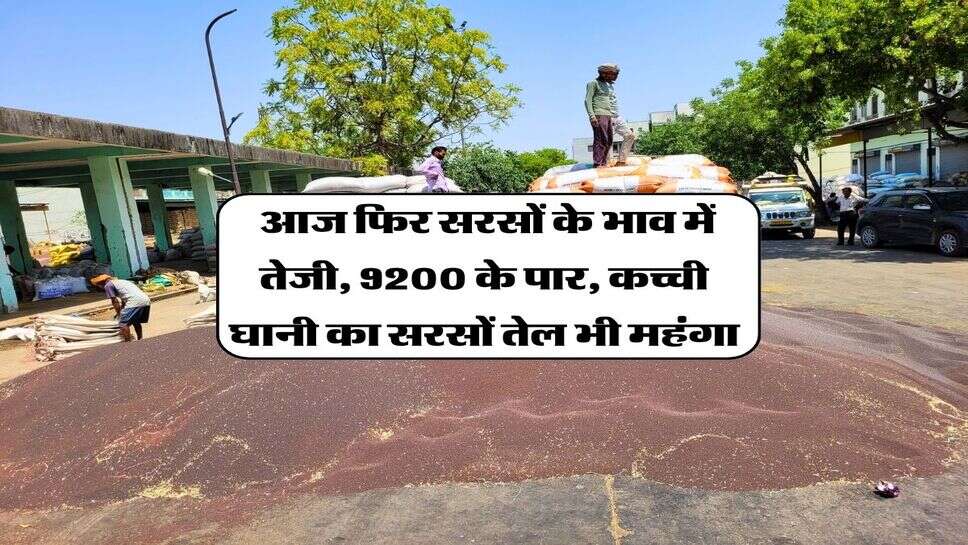 Sarso ka Bhav 2026 : आज फिर सरसों के भाव में तेजी, 9200 के पार, कच्ची घानी का सरसों तेल भी महंगा